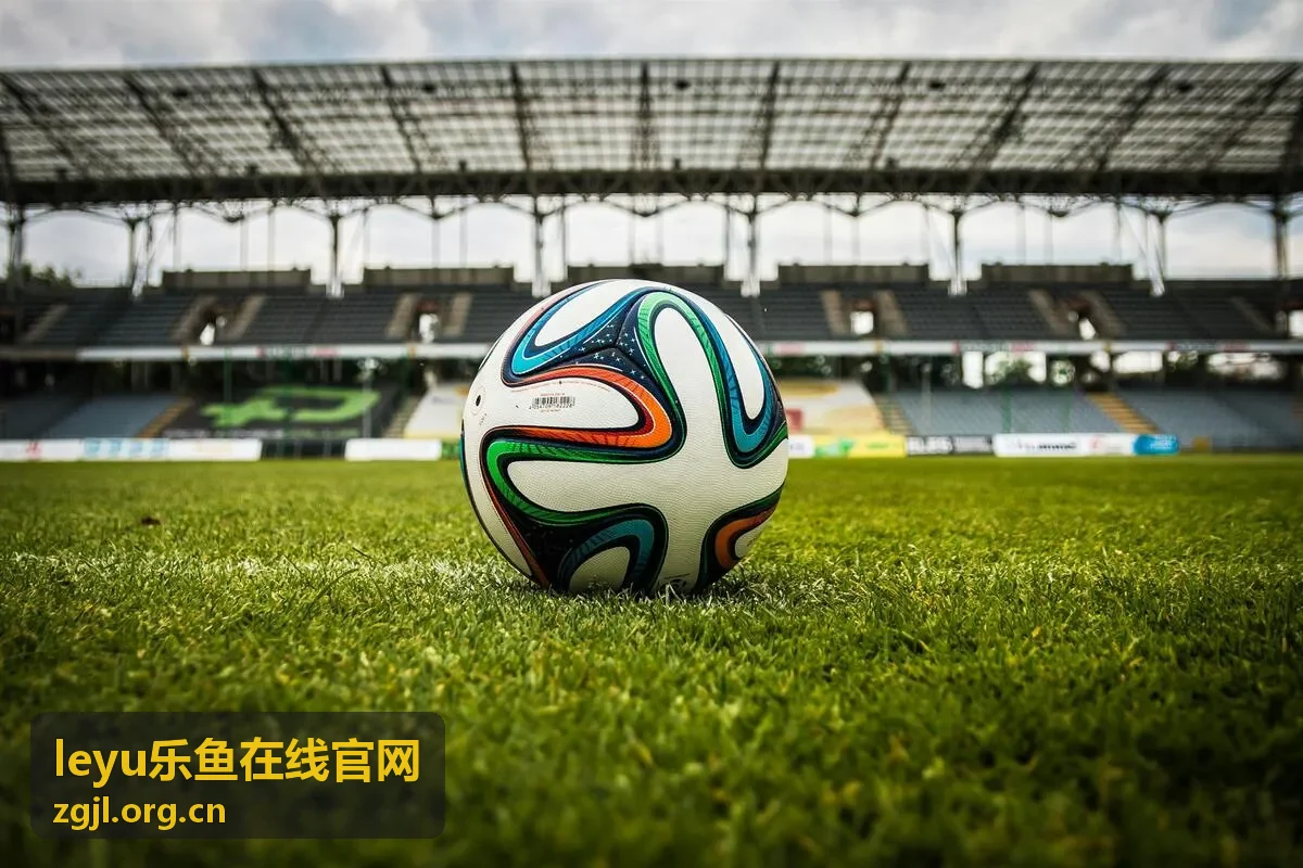 leyu乐鱼在线官网服务支持横幅