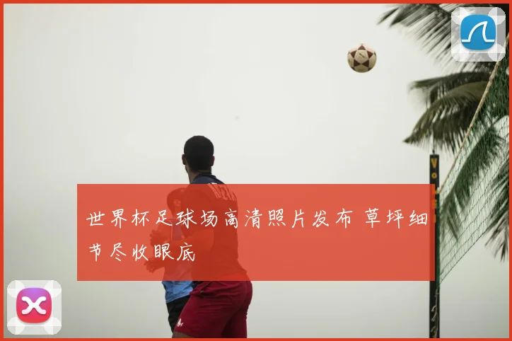 世界杯足球场高清照片发布 草坪细节尽收眼底